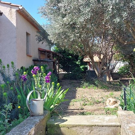Villa 80 M2 Jardin Terrasse 3 Chambres Provence 沃尔 外观 照片
